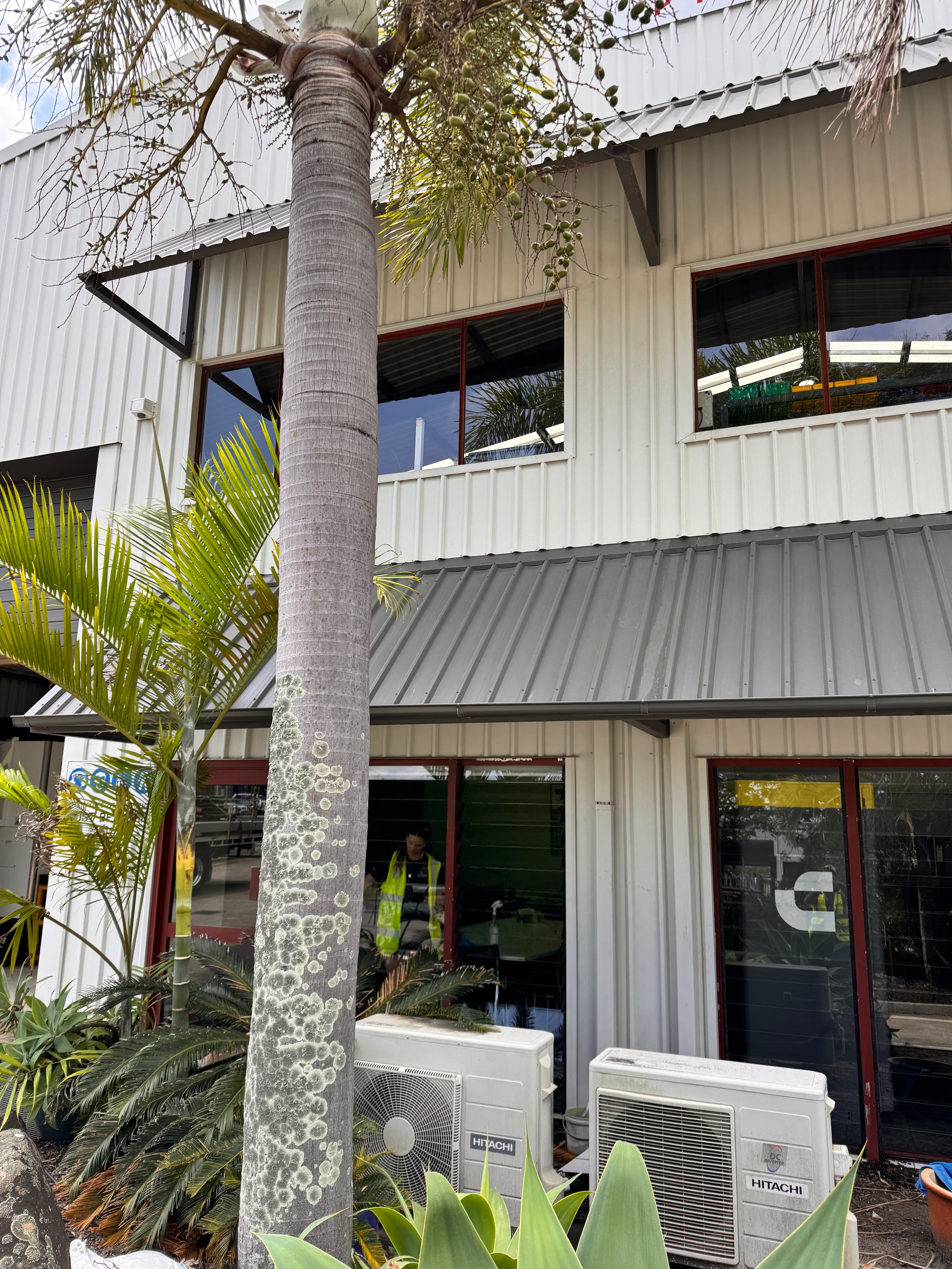 Cleaning service residential property